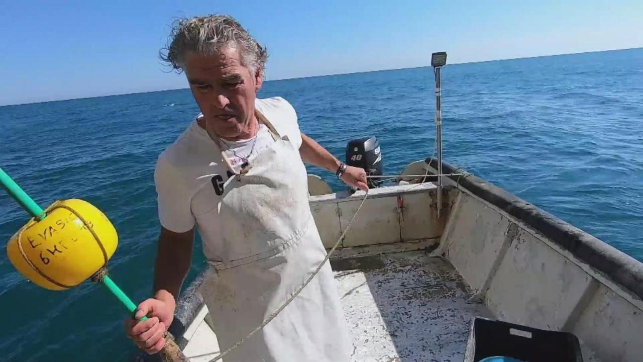Dimore Di Portadibasso Peschici Kültér fotó